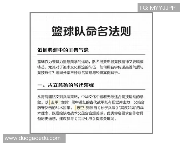 深入分析杭州篮球队的防守策略与战术特点