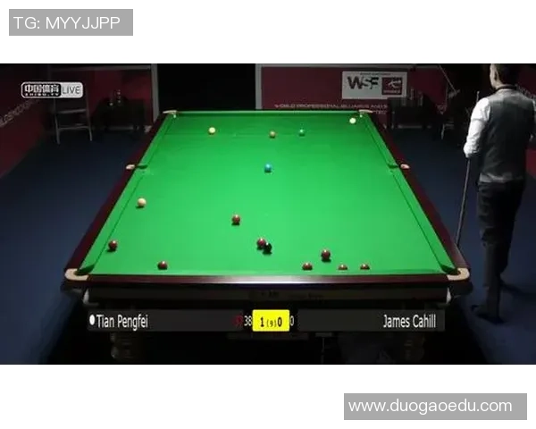 南京排球队在大师赛中的耐力表现分析与反思