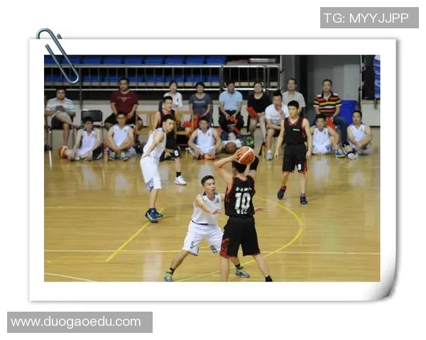 重庆篮球队的节奏探讨与发展现状分析